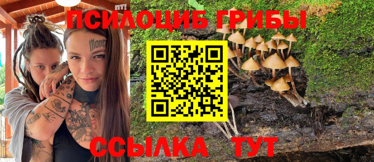 Галлюциногенные грибы мицелий Симферополь